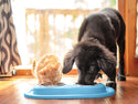 A ginger cat and a black puppy eat from the WeatherTech Double Compact Pet Feeding System by Weathertech on a wooden floor, sunlight streaming through a window in the background.
