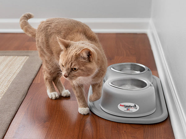 A light brown and white cat walks past a WeatherTech Double Elevated Pet Feeding System by WeatherTech, finished in gray, set on a wooden floor near a wall and rug. The spill-proof bowls in the feeding system appear to be empty.