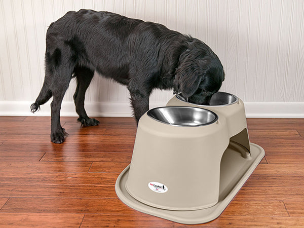A black dog stands on a wooden floor, eating from a WeatherTech Double Elevated Pet Feeding System by WeatherTech in beige, next to a white paneled wall.