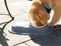 A golden retriever with a blue collar eats from an ergonomic bowl, part of the WeatherTech Double Compact Pet Feeding System by Weathertech, set on a stone patio in sunlight.