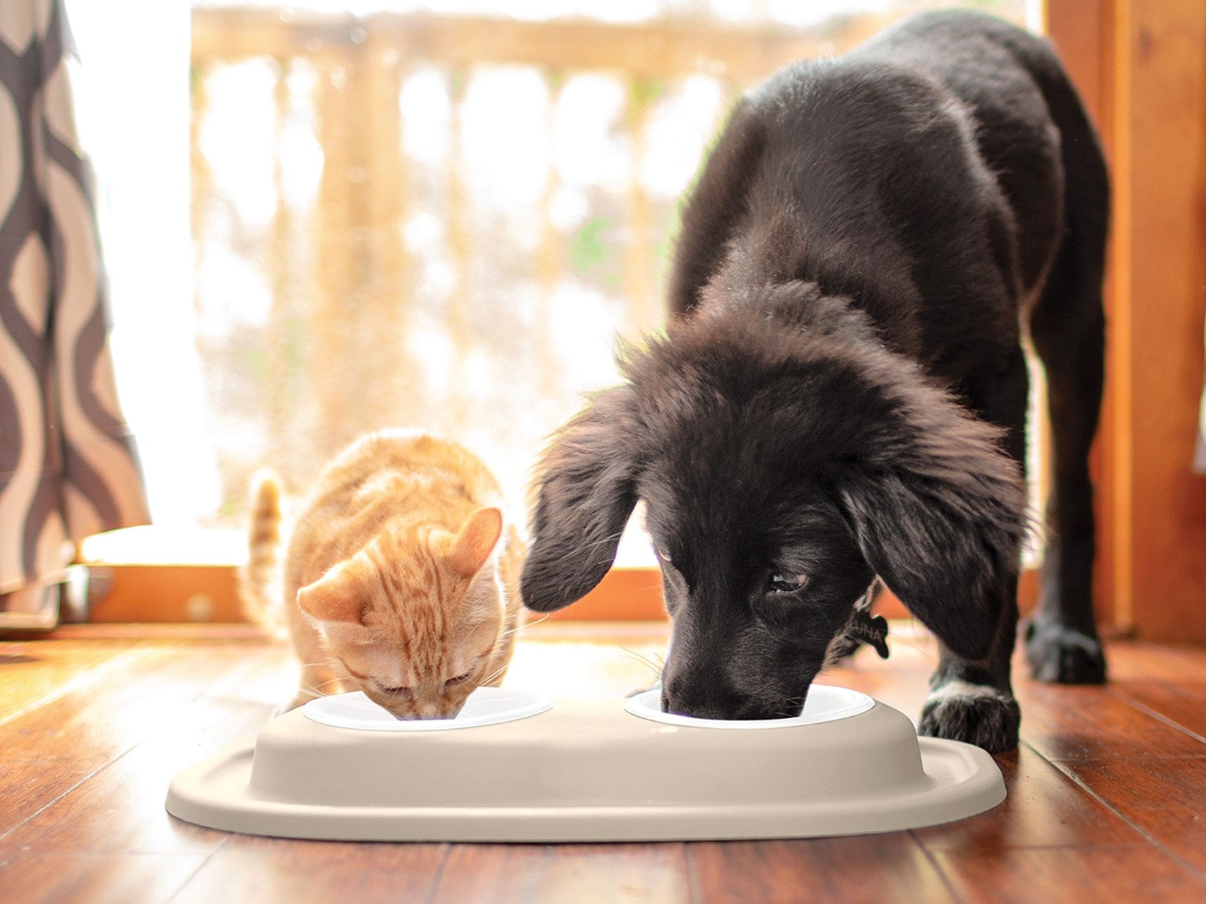 Pet Feeding System