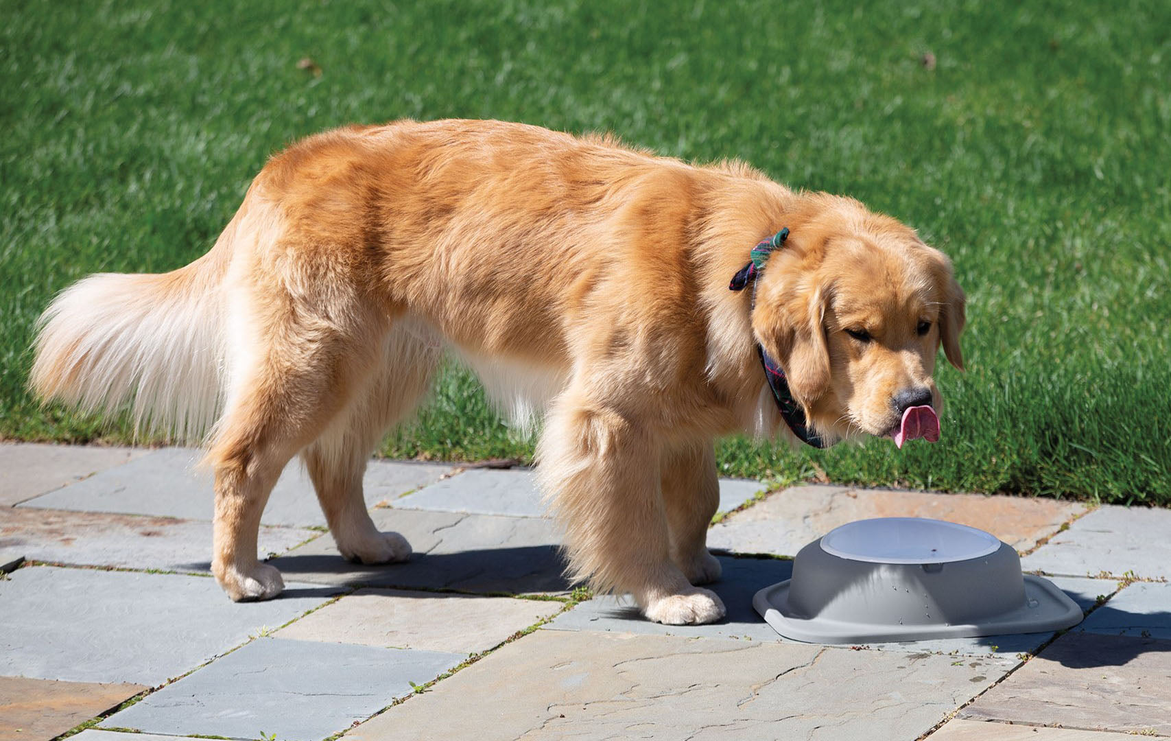 Single Compact Feeding System