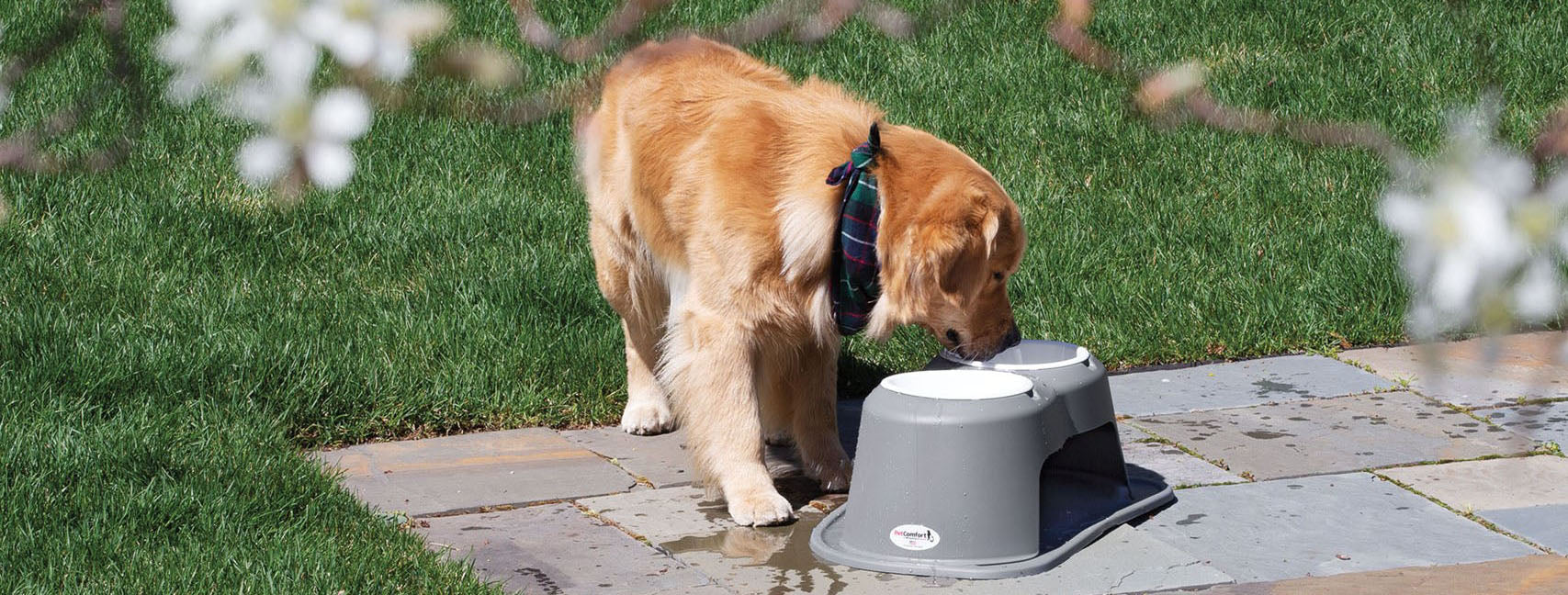 Elevated Feeding System