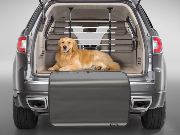 A golden retriever rests in the cargo area of a MINI Countryman (U25) with its rear hatch open. A protective bar separates the dog from the back seat, while a black WeatherTech CargoLiner shields the bumper.