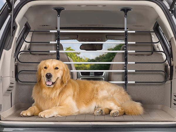 A golden retriever rests comfortably in a car’s trunk, separated from the cabin by a WeatherTech Pet Barrier. The parked car sits by trees visible through the window.