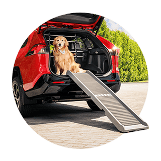 Pet Products